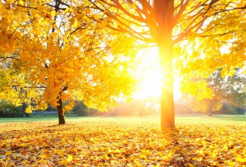 VRIJEME: Danas sunčano i natprosječno toplo