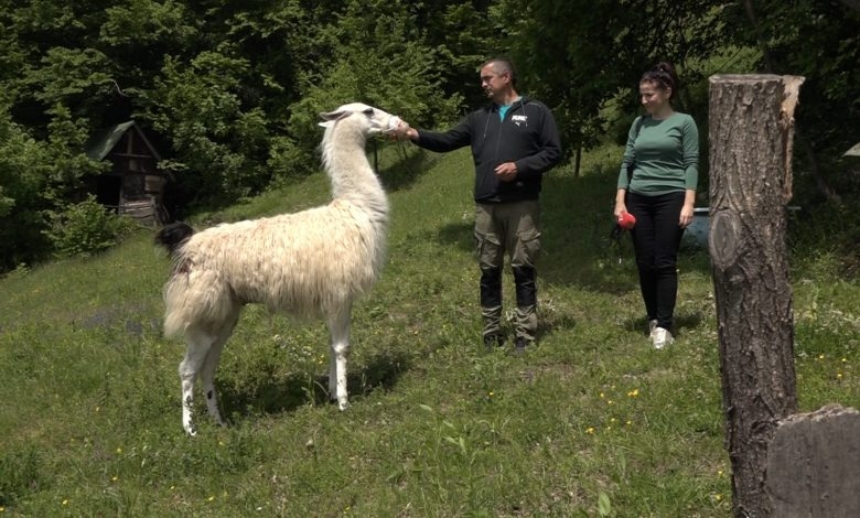 DOBOJ: Lama Frančesko Franc novi stanovnik baze "ParaGhost“ na Ozrenu (FOTO)