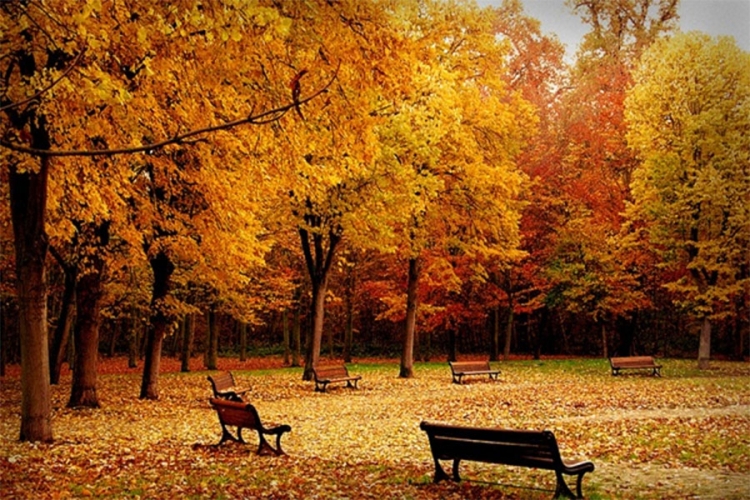 VRIJEME: Danas promjenljivo vrijeme, temperatura oko 21 stepen