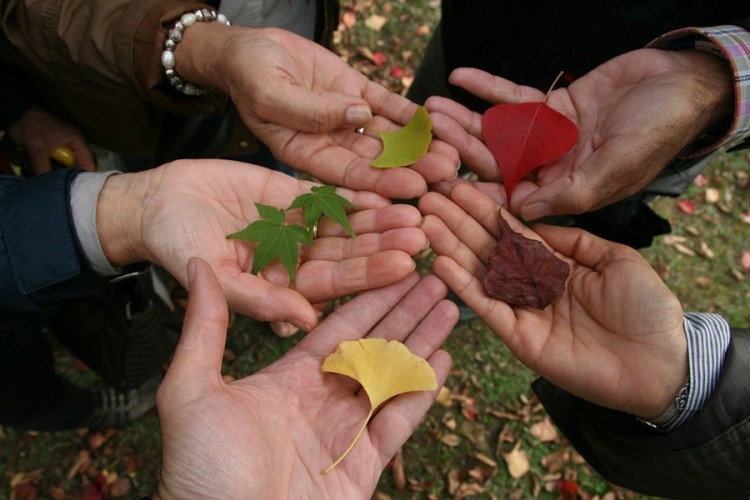 Tvrdoglavost i nedostatak tolerancije u genima našeg društva