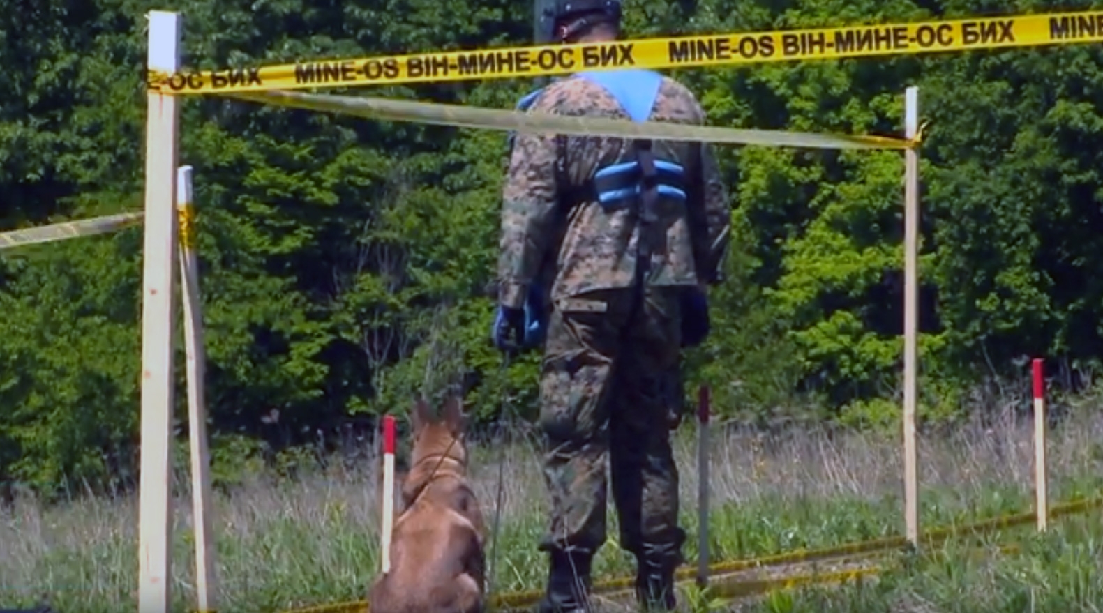 DOBOJ: Kafa u 5 - Mine danas (VIDEO)