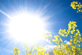 VRIJEME: Danas sunčano i vrlo toplo vrijeme