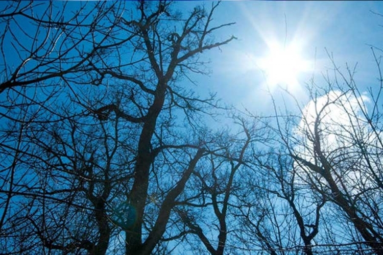 VRIJEME: Kraj januara sunčan i veoma topao, temperatura do 17