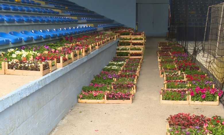 DOBOJ: Grad obezbijedio 7.280 sadnica