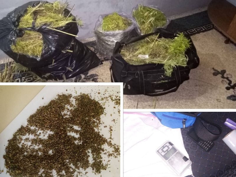 DOBOJ: Pronađeno 19,25 kilograma „Marihuane“