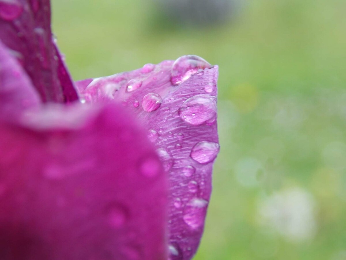 VRIJEME: Danas promjenljivo, poslije podne kiša