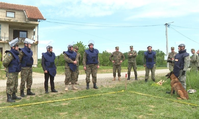 DOBOJ: Deminiranje terena u Gornjim Božincima na Vučijaku (VIDEO)