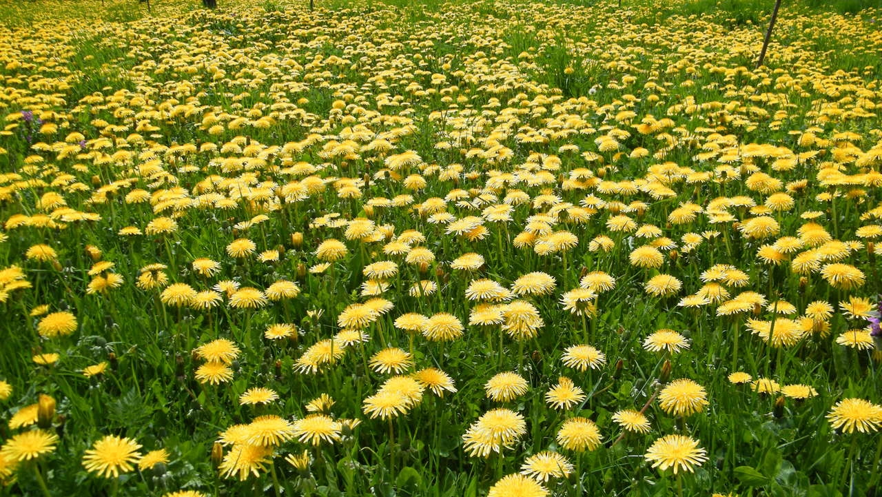 VRIJEME: Danas još toplije, temperatura do 30 stepeni
