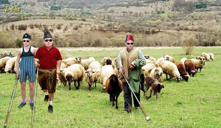 Oj javore, goro moja