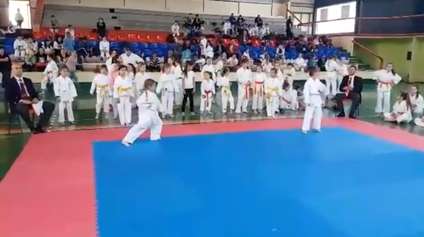DOBOJ: Najmlađi karatisti "Vile" na Karate Kupu Vojvodine za decu - "Šid 2018" (VIDEO)