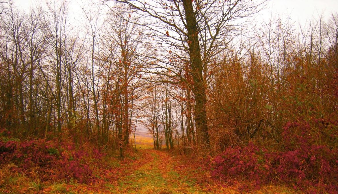 IVANA BUKEJLOVIĆ: Opet je sunce to koje prvo ugleda ljepotu ovog mjesta