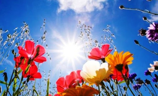 VRIJEME: Pretežno sunčano, temperatura do 22 stepena