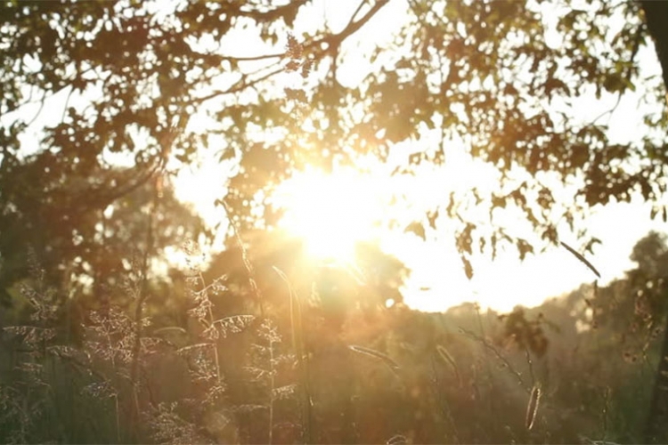 VRIJEME: Pretežno sunčano, krajem dana naoblačenje