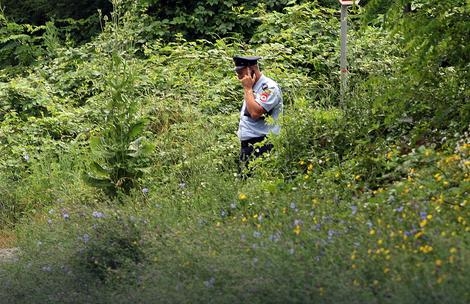 IZBOLI GA STRŠLJENOVI, UMRO ZA NEKOLIKO MINUTA Nesrećni drvoseča kolegi rekao „Joj Vlado, ja sam gotov“ i SRUŠIO SE