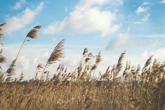 VRIJEME SUTRA: Jutro sunčano, popodne jak vjetar