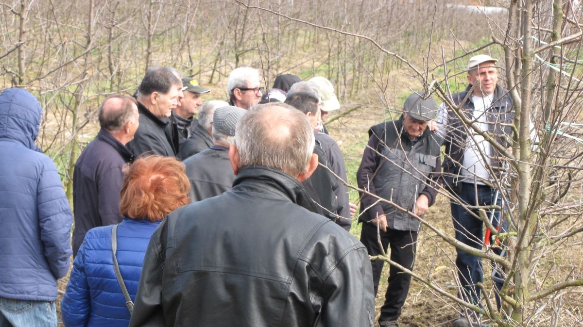 UDRUŽENJE PENZIONERA DOBOJ: Održan kurs iz voćarstva (FOTO)