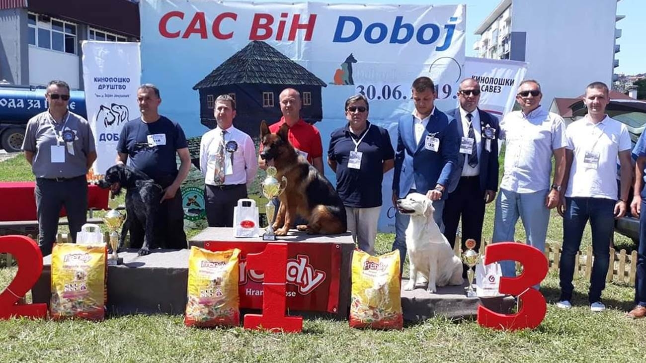 DOBOJ: Njemački ovčar Dejana Majstorovića najljepši pas u BiH (VIDEO)