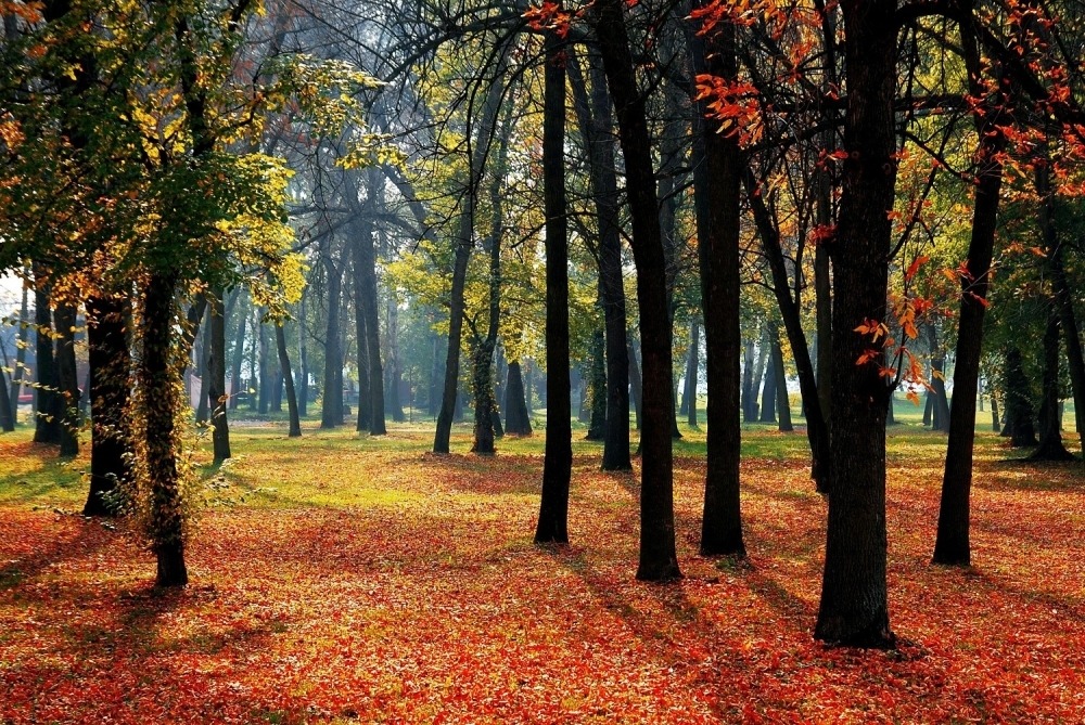 VRIJEME: Hladno i stabilno tokom dana