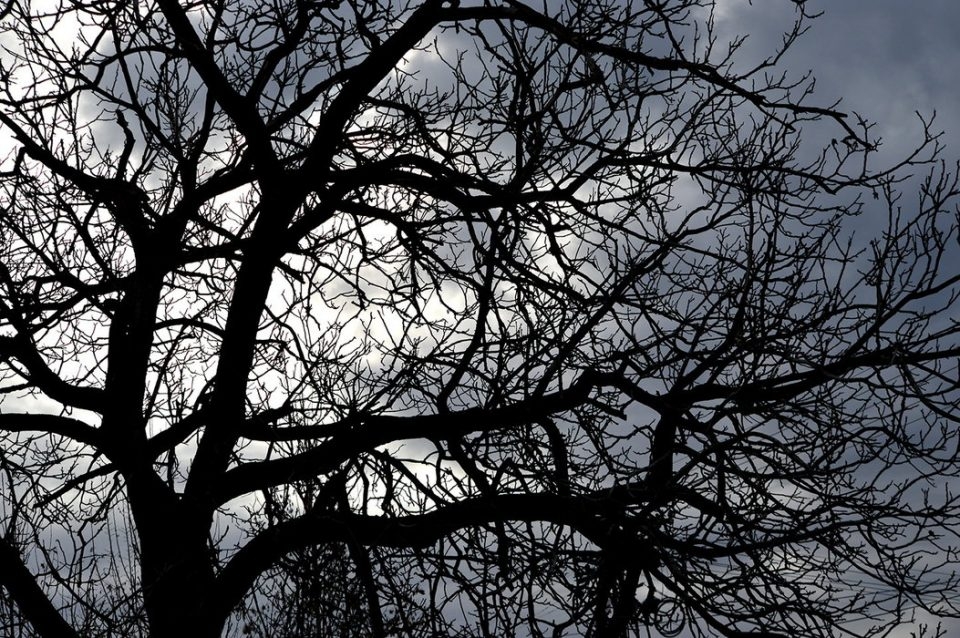 VRIJEME: Danas razvedravanje, uveče novo naoblačenje