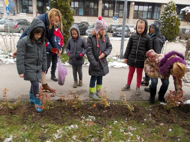 DOBOJ: Centar za sjemensko-rasadničku proizvodnju Doboj donirao sadnice Narodnoj biblioteci (FOTO)