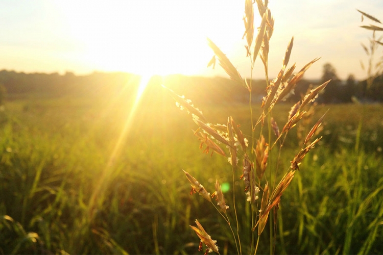 VRIJEME: Sunčano i toplo, do 34 stepena celzijusova
