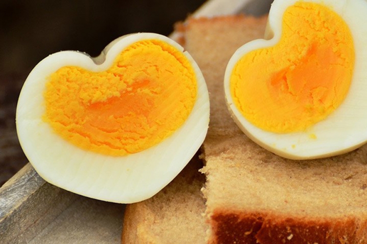 DOBOJ: Studenti govorili o važnosti i štetnosti jaja u svakodnevnoj ishrani