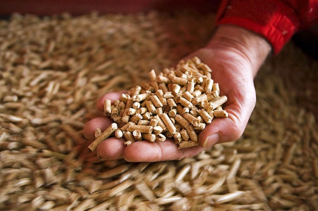 Odluka o jeftinijem peletu stigla kad je država nabavila skupi