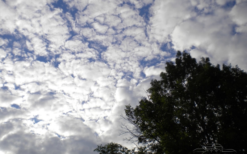 VRIJEME: Sutra prije podne sunčano, poslije mogućI lokalni pljuskovi