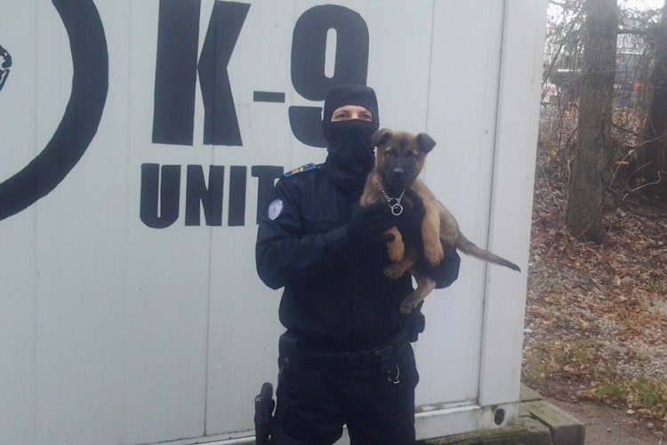 DOBOJ: Maksa čekaju ozbiljni policijski zadaci