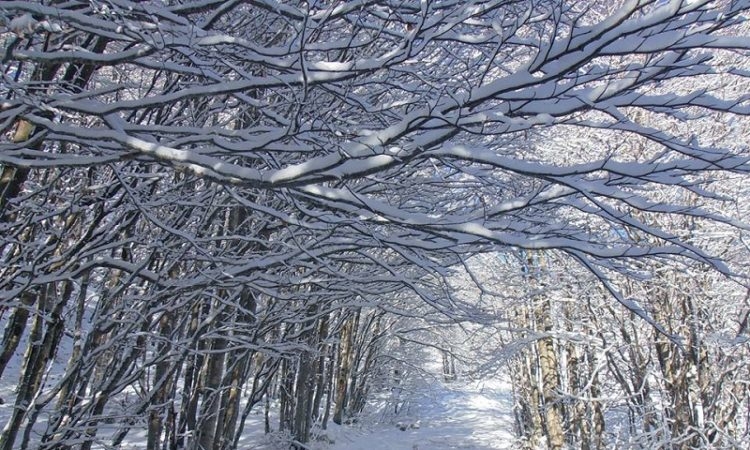 VRIJEME: Danas suvo uz duže sunčane intervale