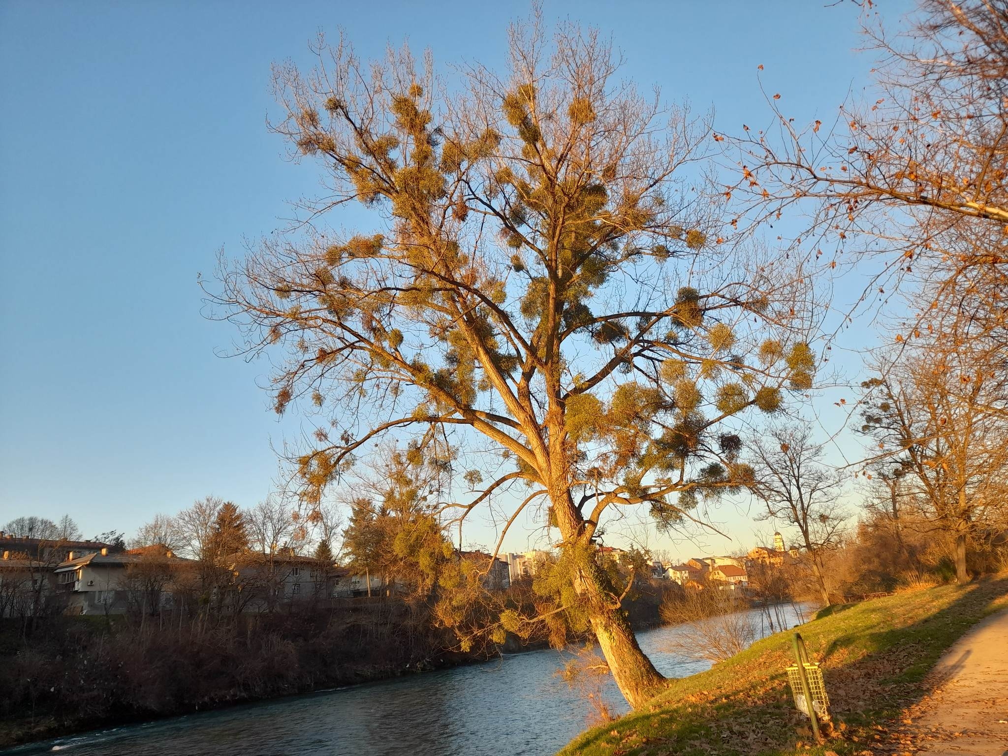 VRIJEME: I danas toplo, do 17 stepeni celzijusovih