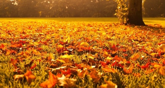 VRIJEME: Danas preteženo sunčano i toplo