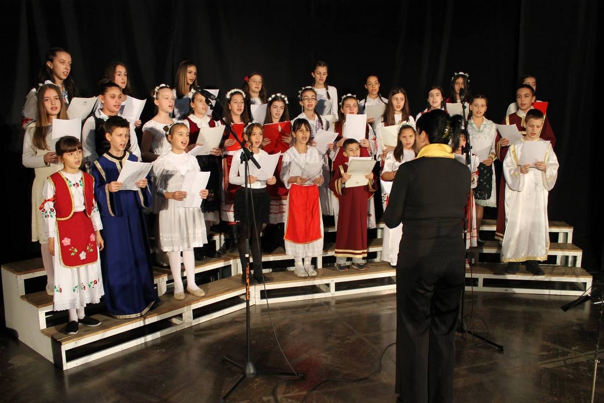 DOBOJ: Humanitarni koncert za Željka Ristića (FOTO)