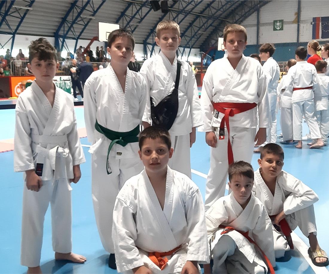 DOBOJ: Mladi karatisti “Vile” osvojili šest medalja u Ljubljani (FOTO)