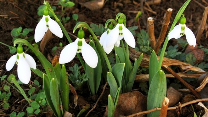 VRIJEME: Danas pretežno sunčano, vjetrovito i toplije