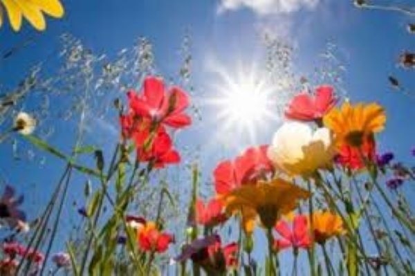 VRIJEME: Danas sunčano, temperatura do 23 stepena