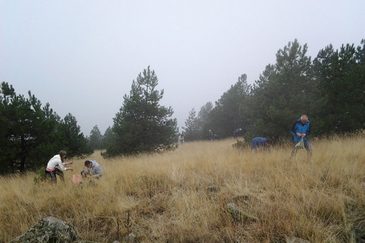 MJEŠTANI OZRENSKIH SELA PONOSNI: "Trava iva od mrtva pravi živa"