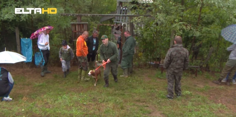 DOBOJ: Na Ozrenu održana "utakmica" pasa (VIDEO)