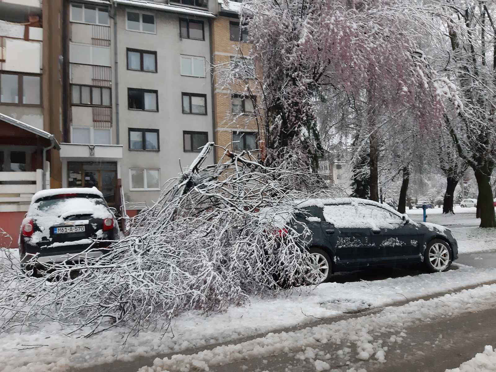 DOBOJ: U naselju Pijeskovi težina snijega oborila drvo na auto (FOTO)