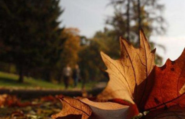 VRIJEME: Danas umjereno oblačno i svježije