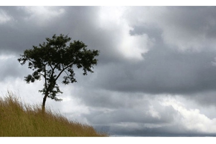 VRIJEME: Danas oblačno i pretežno suvo