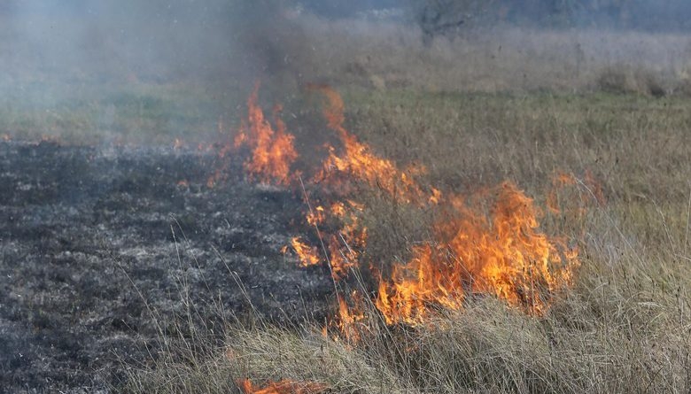 APEL: Spaljivanje korova vršiti danju u povoljnim vremenskim uslovima