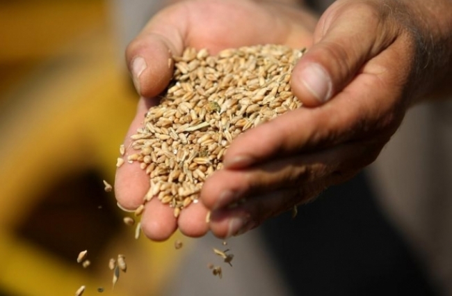 DOBOJ: Stručno predavanje na temu zaštite žitarica