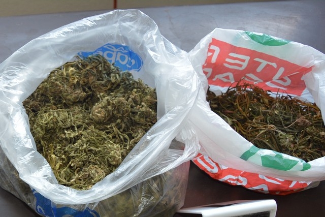 DOBOJ: Oduzeta marihuana, sjeme i stabljike indijske konoplje (FOTO)