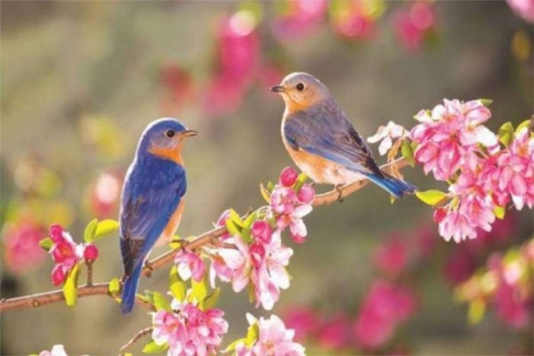 DOBOJ: Sutra počinje proljeće