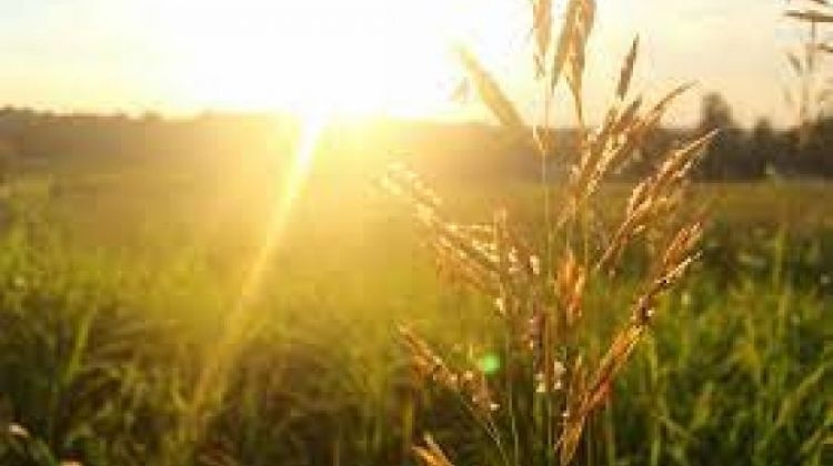 VRIJEME: Danas sunčano uz umjerenu oblačnost i veoma toplo