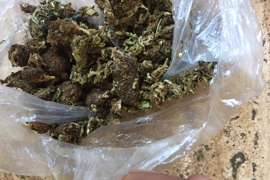 PRETRESI U DOBOJU Policija zaplijenila drogu i laboratoriju skanka