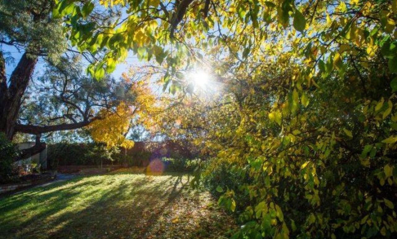 VRIJEME: Tokom dana sunčano i veoma toplo