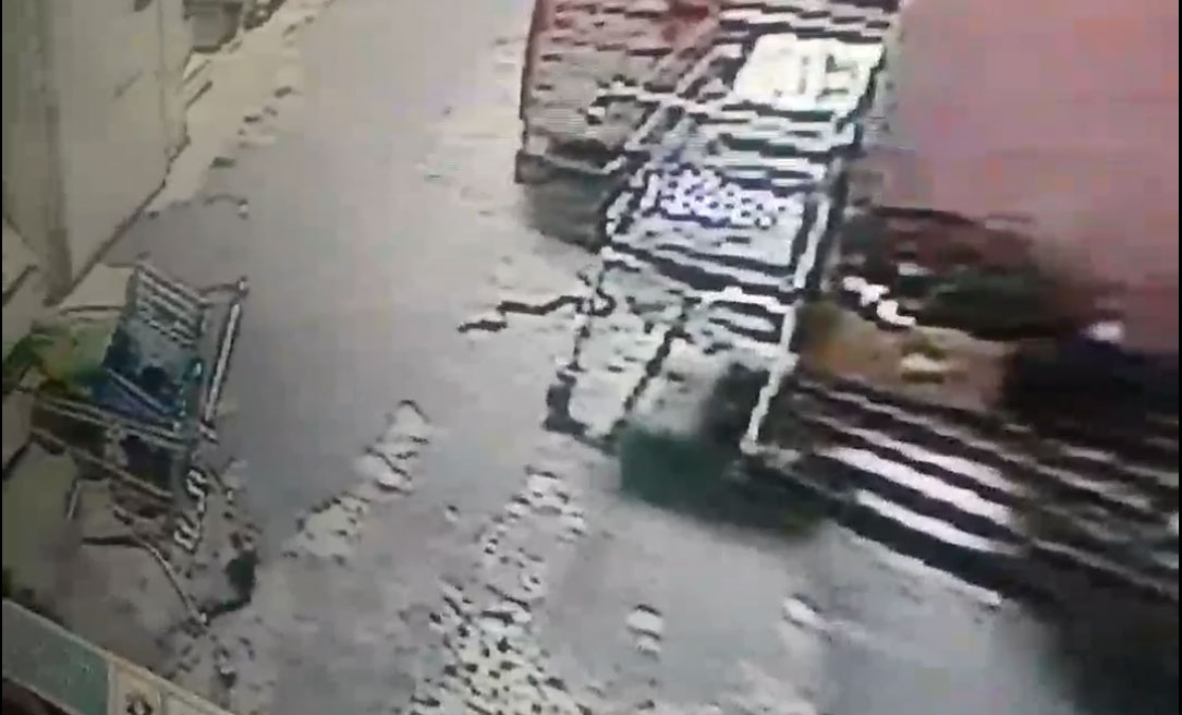 DOBOJSKI INFO UPOZORAVA: Zmija u TC Bingo, budite oprezni! (VIDEO)