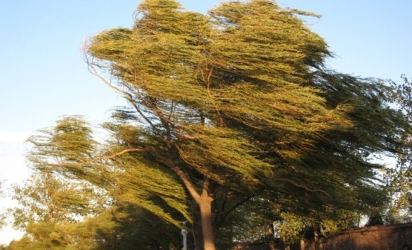 VRIJEME: Vjetar i do 100 kilometara na čas, temperatura do 18 stepeni!